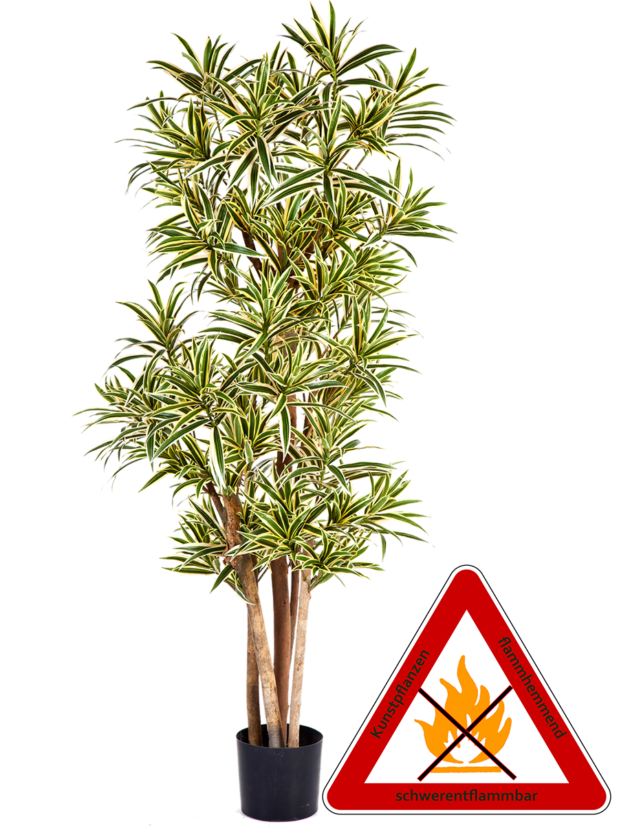 Dracena Reflexa künstlich ca.150 cm, permanent schwerentflammbar